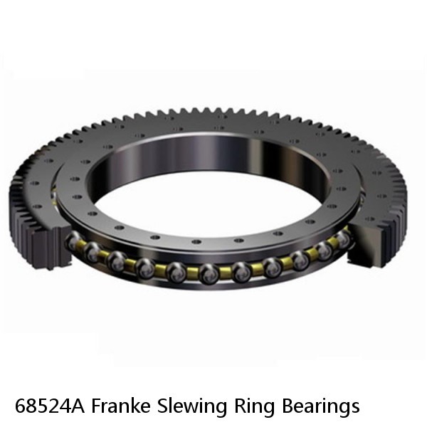 68524A Franke Slewing Ring Bearings #1 image