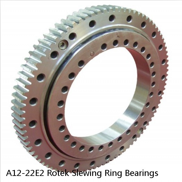 A12-22E2 Rotek Slewing Ring Bearings #1 image